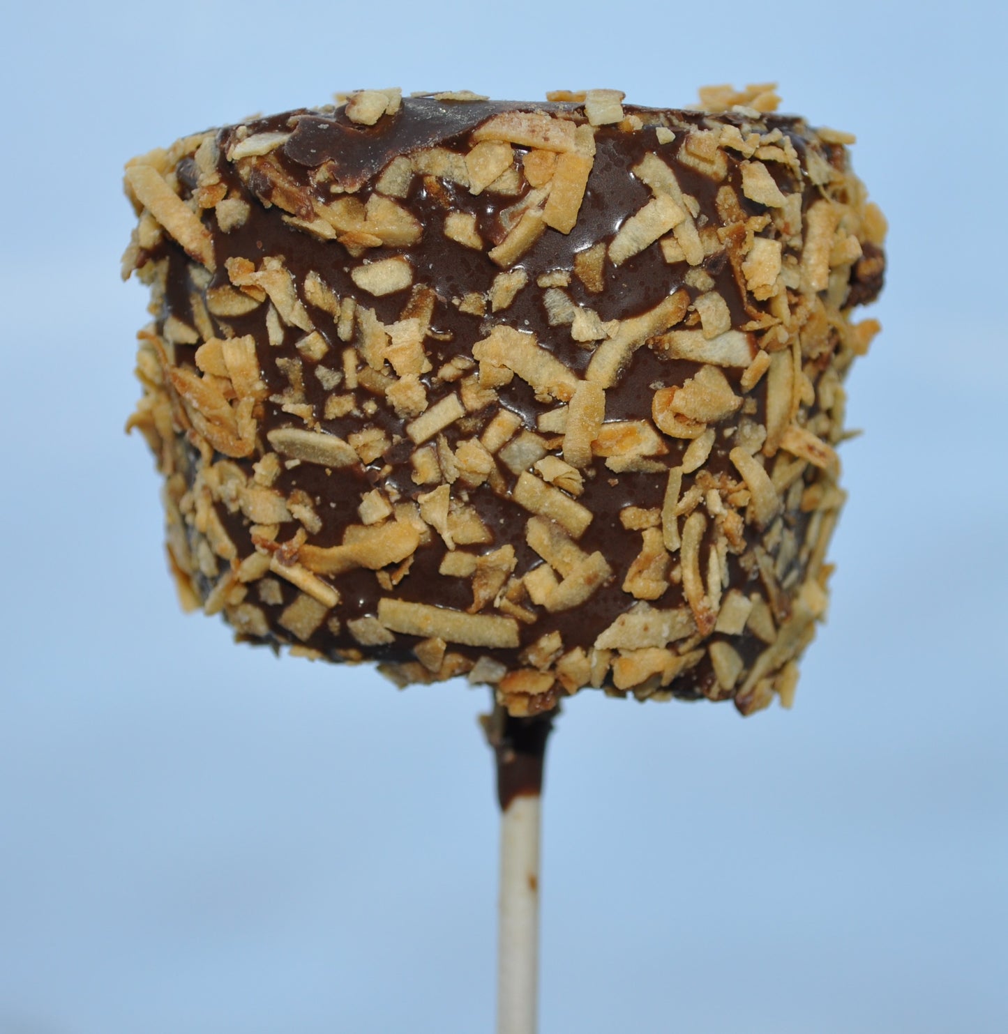 Marshmallow Pop - Toasted Coconut